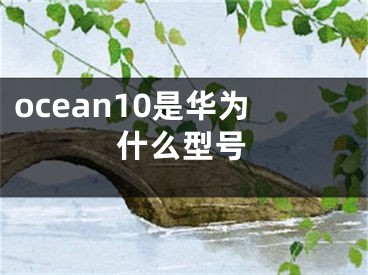 ocean10是華為什么型號