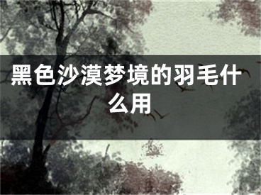 黑色沙漠夢(mèng)境的羽毛什么用