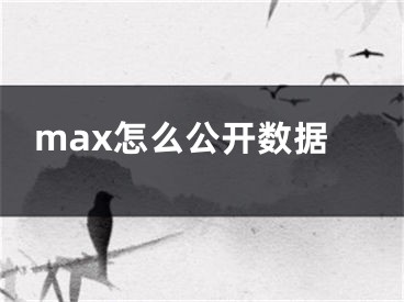 max怎么公開(kāi)數(shù)據(jù)