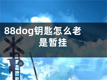 88dog鑰匙怎么老是暫掛