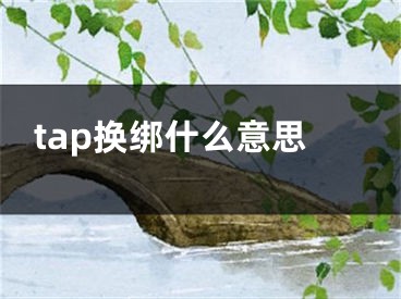 tap換綁什么意思