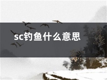 sc釣魚什么意思