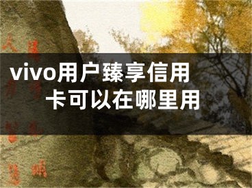 vivo用戶臻享信用卡可以在哪里用