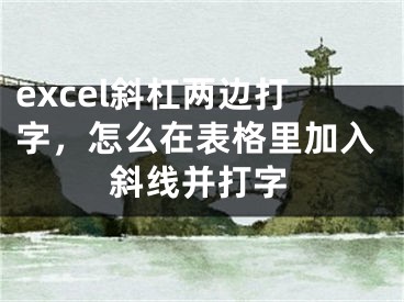 excel斜杠兩邊打字，怎么在表格里加入斜線并打字