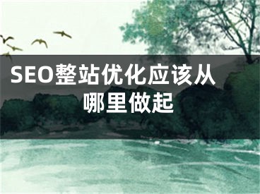 SEO整站優(yōu)化應(yīng)該從哪里做起