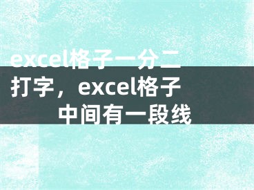 excel格子一分二打字，excel格子中間有一段線