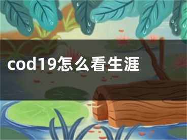 cod19怎么看生涯