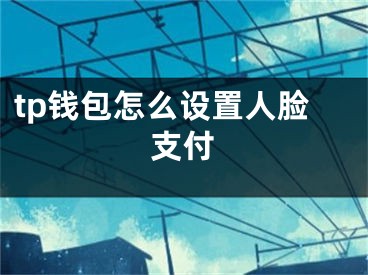 tp錢包怎么設(shè)置人臉支付