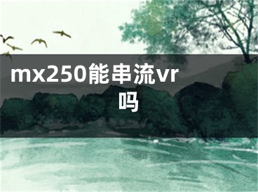 mx250能串流vr嗎