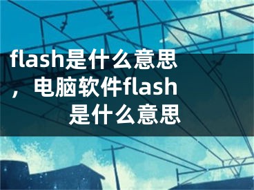 flash是什么意思，電腦軟件flash是什么意思