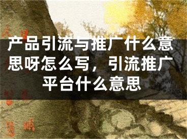 產(chǎn)品引流與推廣什么意思呀怎么寫，引流推廣平臺(tái)什么意思