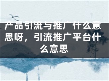 產(chǎn)品引流與推廣什么意思呀，引流推廣平臺什么意思