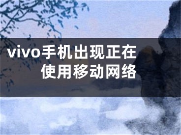 vivo手機出現(xiàn)正在使用移動網(wǎng)絡