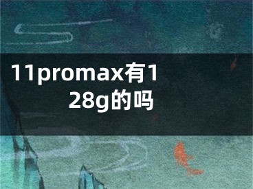 11promax有128g的嗎