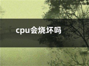 cpu會(huì)燒壞嗎