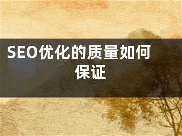 SEO優(yōu)化的質(zhì)量如何保證