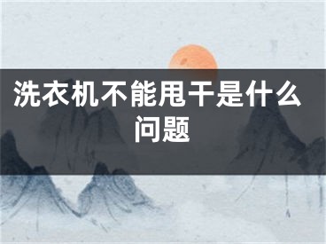 洗衣機(jī)不能甩干是什么問題