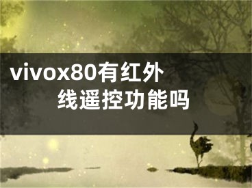 vivox80有紅外線遙控功能嗎