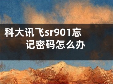 科大訊飛sr901忘記密碼怎么辦