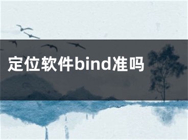 定位軟件bind準嗎