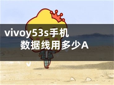 vivoy53s手機(jī)數(shù)據(jù)線用多少A