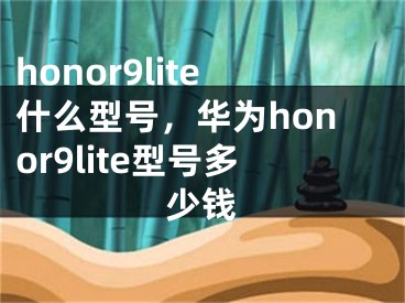 honor9lite什么型號，華為honor9lite型號多少錢