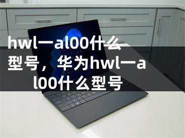 hwl一al00什么型號(hào)，華為hwl一al00什么型號(hào)