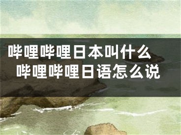 嗶哩嗶哩日本叫什么 嗶哩嗶哩日語怎么說