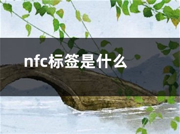 nfc標(biāo)簽是什么