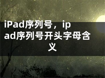 iPad序列號，ipad序列號開頭字母含義