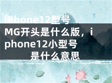 iPhone12型號MG開頭是什么版，iphone12小型號是什么意思