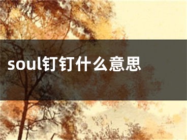 soul釘釘什么意思