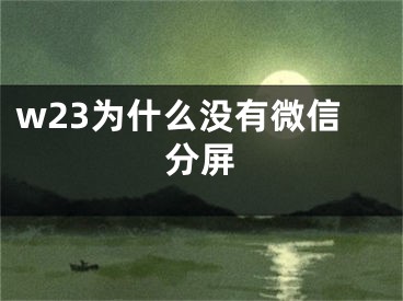 w23為什么沒有微信分屏