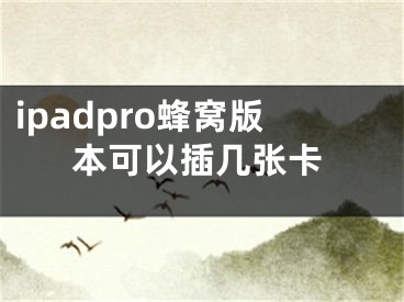 ipadpro蜂窩版本可以插幾張卡