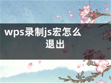 wps錄制js宏怎么退出