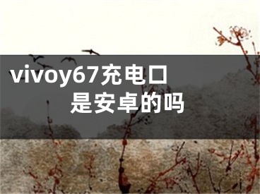 vivoy67充電口是安卓的嗎