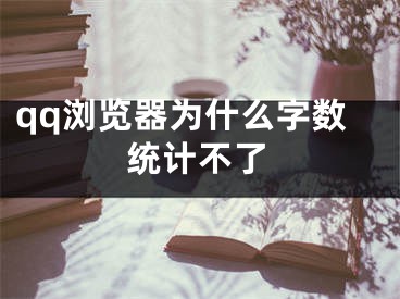 qq瀏覽器為什么字?jǐn)?shù)統(tǒng)計(jì)不了