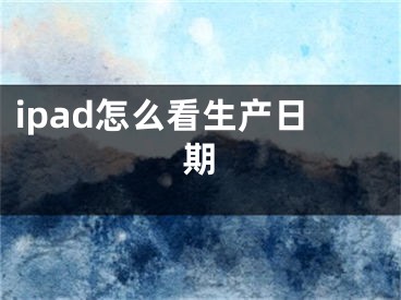 ipad怎么看生產(chǎn)日期