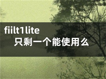 fiilt1lite只剩一個(gè)能使用么