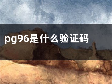 pg96是什么驗(yàn)證碼