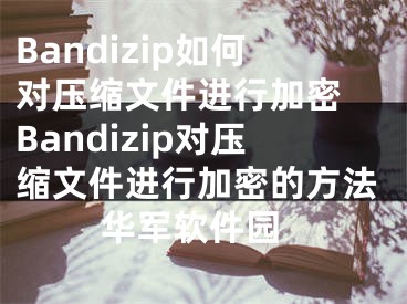 Bandizip如何對壓縮文件進行加密 Bandizip對壓縮文件進行加密的方法 華軍軟件園