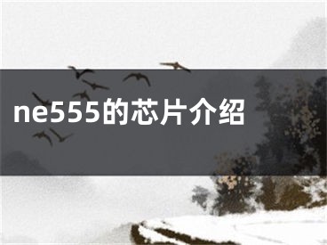 ne555的芯片介紹