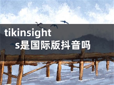 tikinsights是國(guó)際版抖音嗎