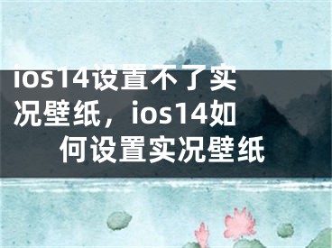 ios14設(shè)置不了實(shí)況壁紙，ios14如何設(shè)置實(shí)況壁紙