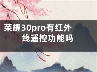 榮耀30pro有紅外線遙控功能嗎