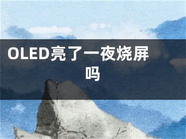 OLED亮了一夜燒屏嗎