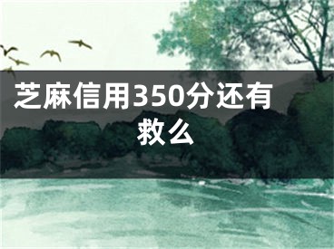 芝麻信用350分還有救么