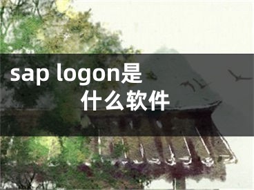 sap logon是什么軟件