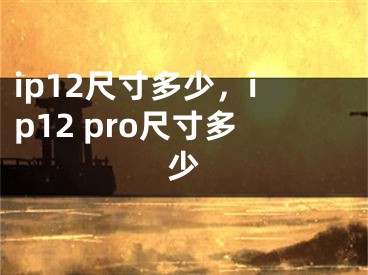 ip12尺寸多少，ip12 pro尺寸多少