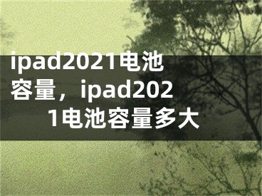 ipad2021電池容量，ipad2021電池容量多大